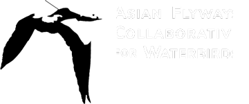 Asian Flyways Collaborative for Waterbirds