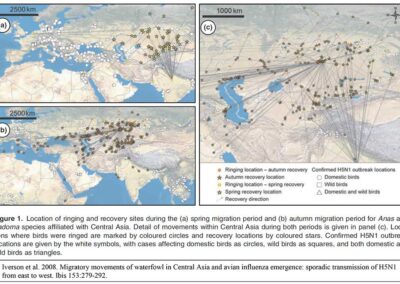 Iverson et-al. 2008. Map image Central Asia banding